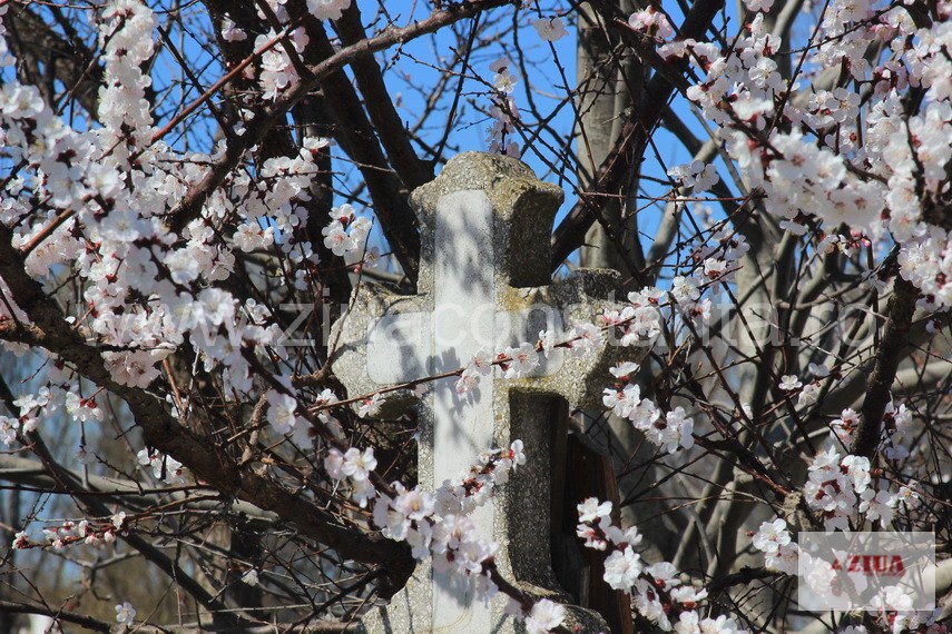 Foto ilustrativă - sursa: ZIUA de Constanța