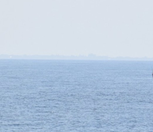 Foto cu rol ilustrativ