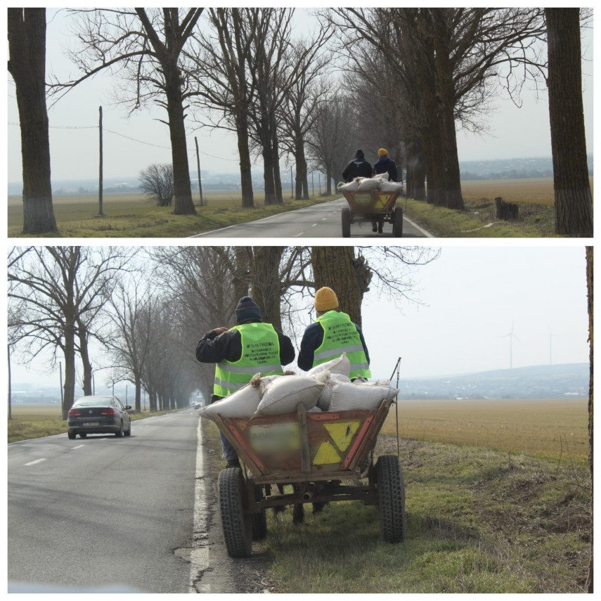 Sursă foto: IPJ Tulcea