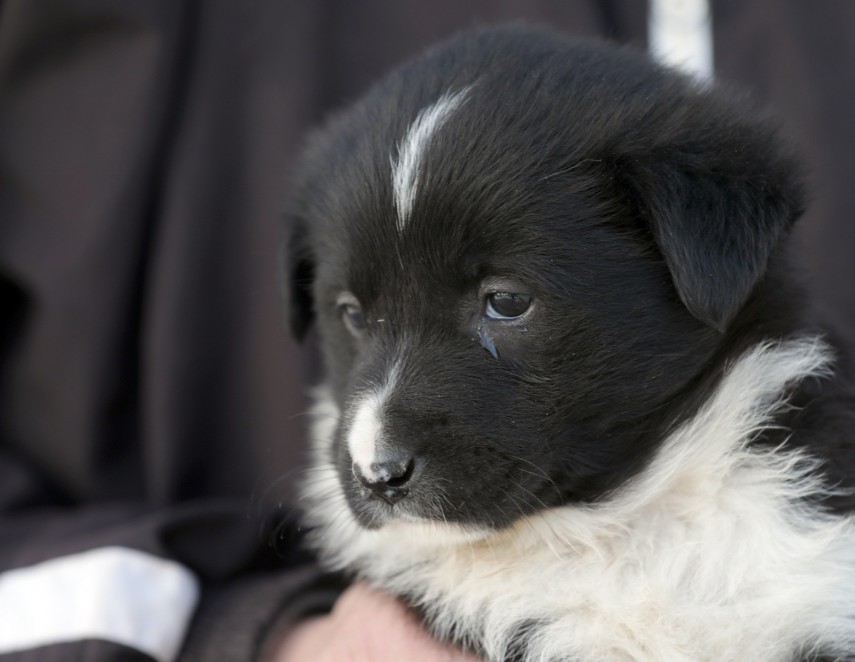 Sursa foto:Primăria Constanța