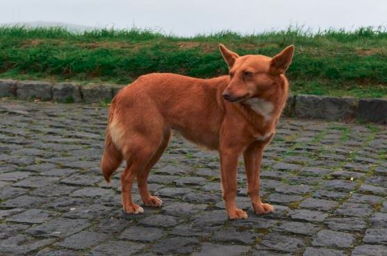 sursa foto: Freepick.com