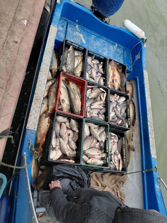 foto actiuni arbdd de verificari la punctele de debarcare si centrele de prima vanzare din rezervatia foto actiuni arbdd de verificari la punctele de debarcare si centrele de prima vanzare din rezervatia