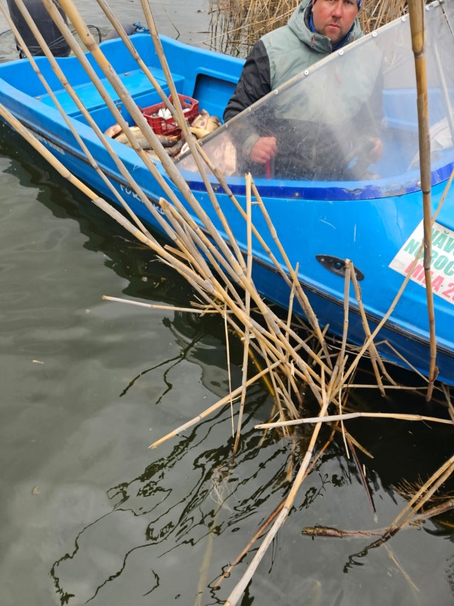 foto actiuni arbdd de verificari la punctele de debarcare si centrele de prima vanzare din rezervatia foto actiuni arbdd de verificari la punctele de debarcare si centrele de prima vanzare din rezervatia