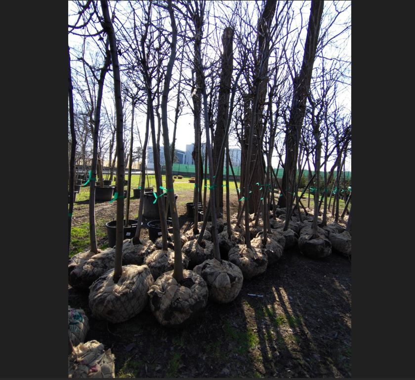 Sursa foto: Facebook Cătălin Filișan