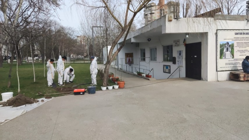 Sursă foto: Arimex Comexim 2000 SRL