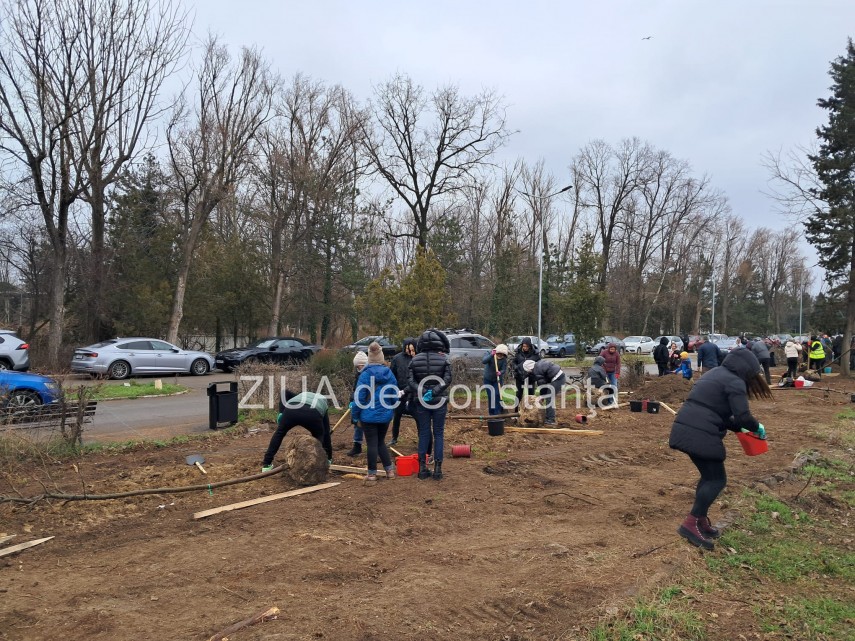 foto video noi copaci plantati la palatul copiilor constanta catalin filisan nu ne sperie vremea avem foto video noi copaci plantati la palatul copiilor constanta catalin filisan nu ne sperie vremea avem