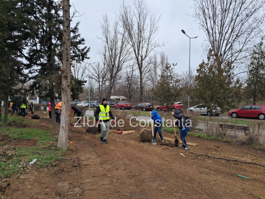 foto video noi copaci plantati la palatul copiilor constanta catalin filisan nu ne sperie vremea avem foto video noi copaci plantati la palatul copiilor constanta catalin filisan nu ne sperie vremea avem