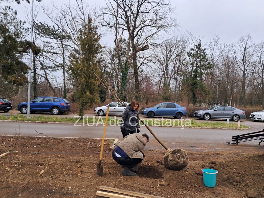 foto video noi copaci plantati la palatul copiilor constanta catalin filisan nu ne sperie vremea avem foto video noi copaci plantati la palatul copiilor constanta catalin filisan nu ne sperie vremea avem