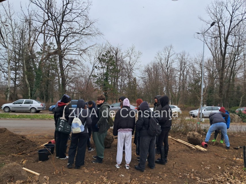 foto video noi copaci plantati la palatul copiilor constanta catalin filisan nu ne sperie vremea avem foto video noi copaci plantati la palatul copiilor constanta catalin filisan nu ne sperie vremea avem