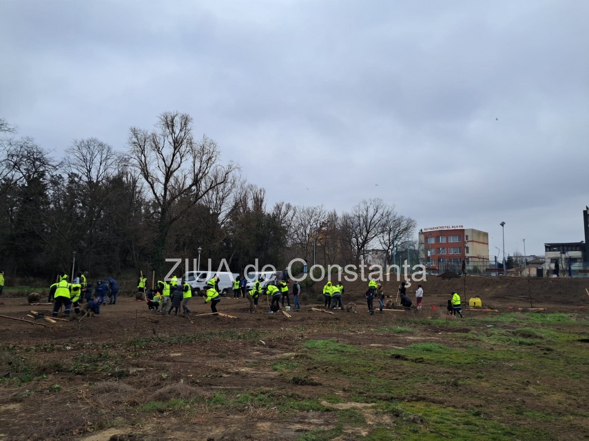 foto video noi copaci plantati la palatul copiilor constanta catalin filisan nu ne sperie vremea avem foto video noi copaci plantati la palatul copiilor constanta catalin filisan nu ne sperie vremea avem