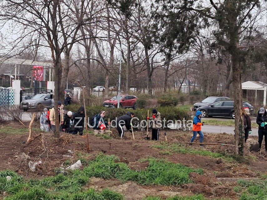 foto video noi copaci plantati la palatul copiilor constanta catalin filisan nu ne sperie vremea avem foto video noi copaci plantati la palatul copiilor constanta catalin filisan nu ne sperie vremea avem