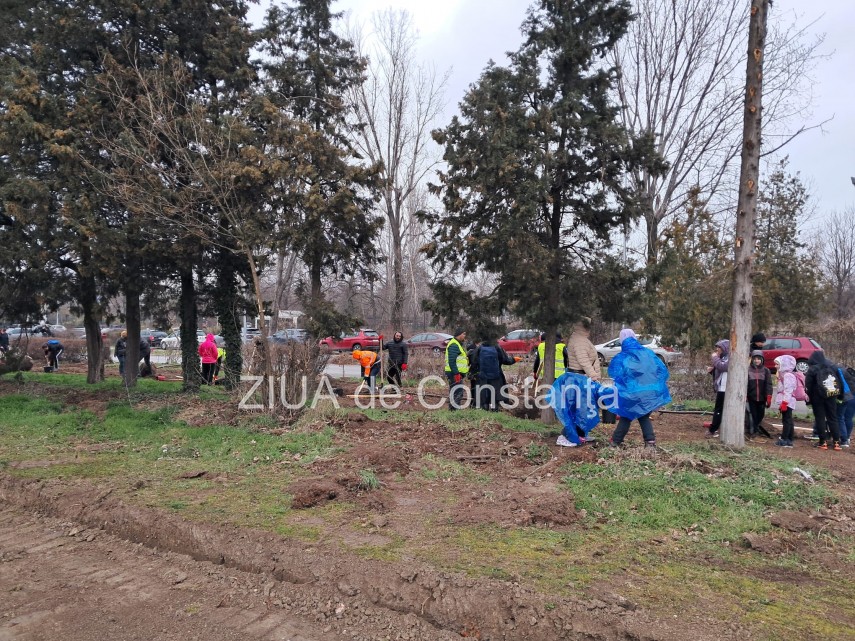 foto video noi copaci plantati la palatul copiilor constanta catalin filisan nu ne sperie vremea avem foto video noi copaci plantati la palatul copiilor constanta catalin filisan nu ne sperie vremea avem