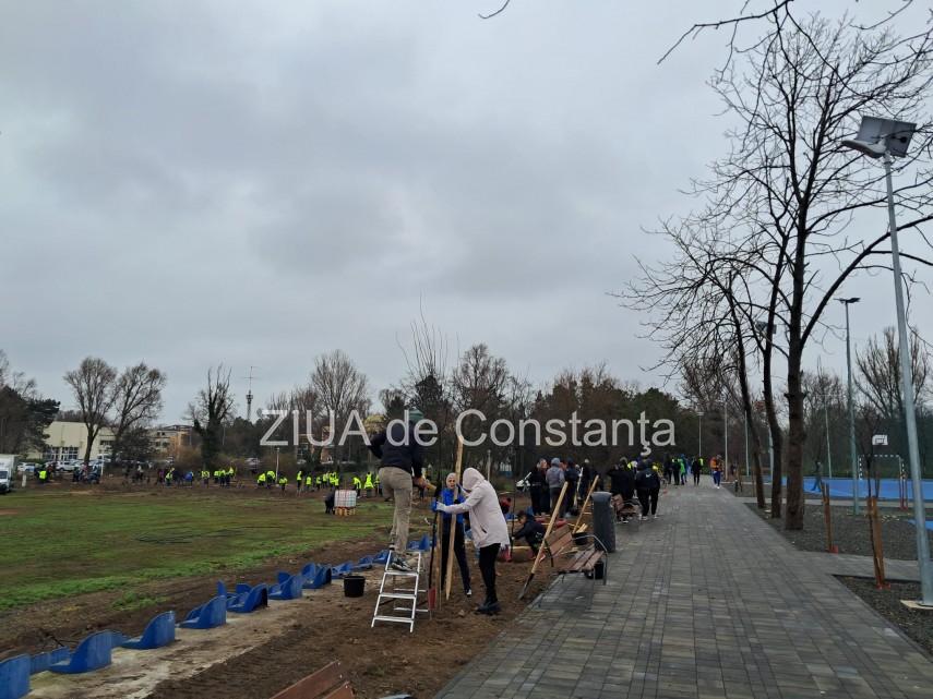 foto video noi copaci plantati la palatul copiilor constanta catalin filisan nu ne sperie vremea avem foto video noi copaci plantati la palatul copiilor constanta catalin filisan nu ne sperie vremea avem