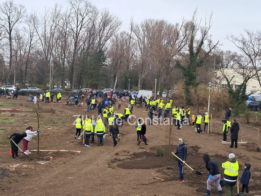 foto video noi copaci plantati la palatul copiilor constanta catalin filisan nu ne sperie vremea avem foto video noi copaci plantati la palatul copiilor constanta catalin filisan nu ne sperie vremea avem