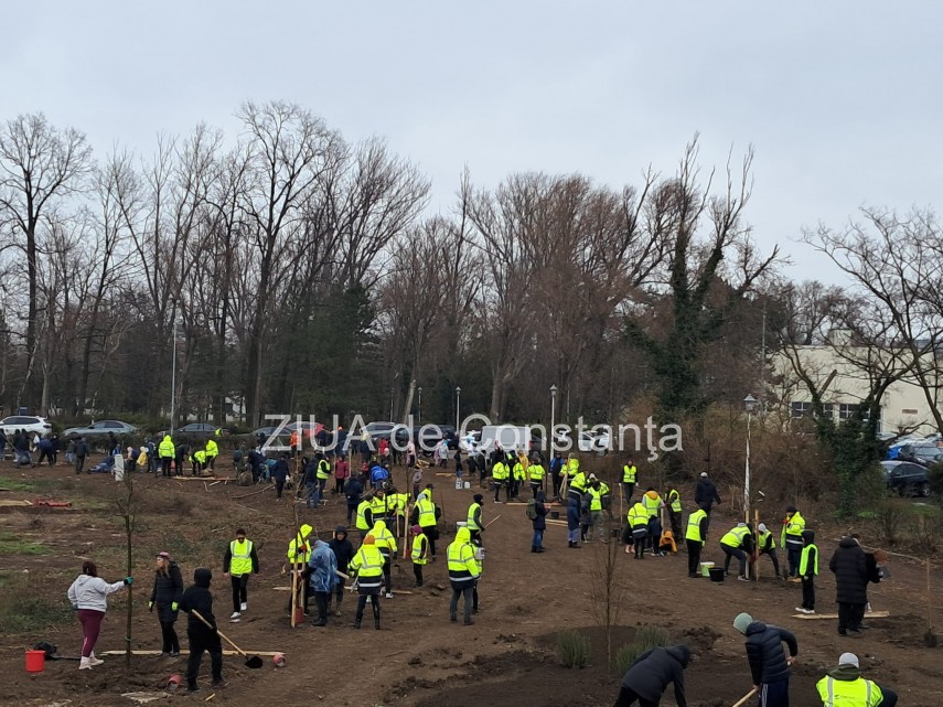 foto video noi copaci plantati la palatul copiilor constanta catalin filisan nu ne sperie vremea avem foto video noi copaci plantati la palatul copiilor constanta catalin filisan nu ne sperie vremea avem