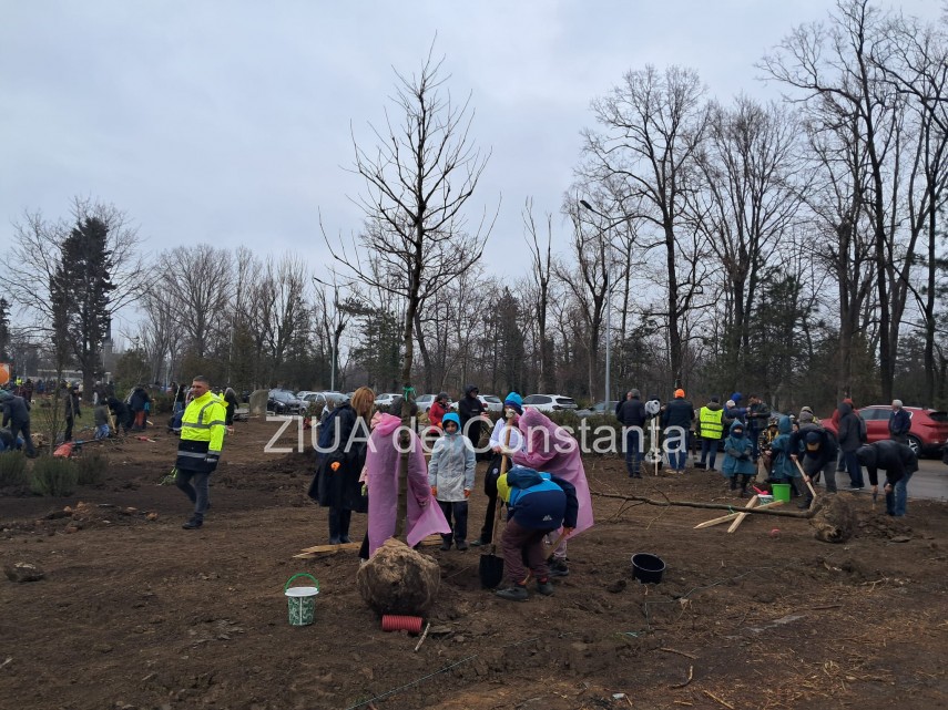 foto video noi copaci plantati la palatul copiilor constanta catalin filisan nu ne sperie vremea avem foto video noi copaci plantati la palatul copiilor constanta catalin filisan nu ne sperie vremea avem