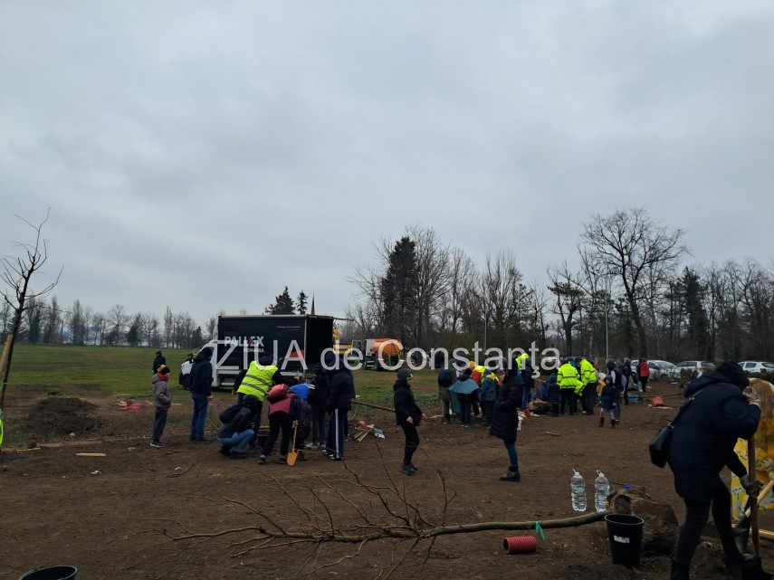 foto video noi copaci plantati la palatul copiilor constanta catalin filisan nu ne sperie vremea avem foto video noi copaci plantati la palatul copiilor constanta catalin filisan nu ne sperie vremea avem