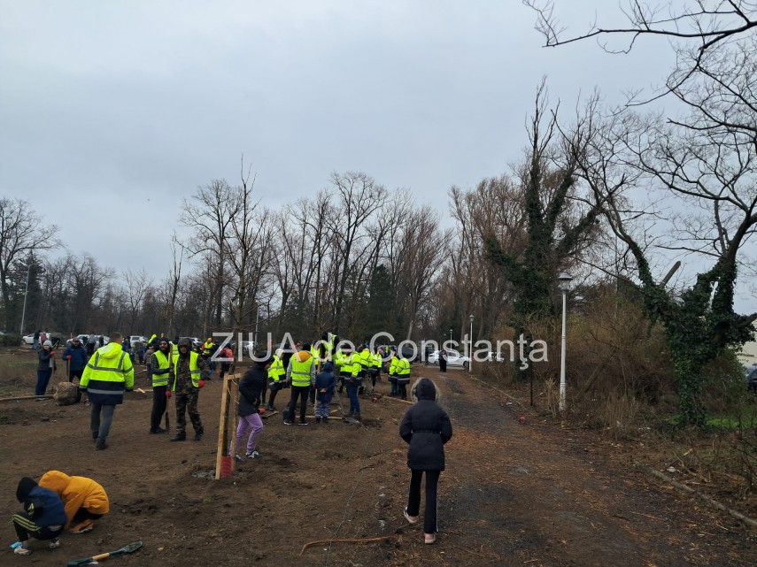 foto video noi copaci plantati la palatul copiilor constanta catalin filisan nu ne sperie vremea avem foto video noi copaci plantati la palatul copiilor constanta catalin filisan nu ne sperie vremea avem
