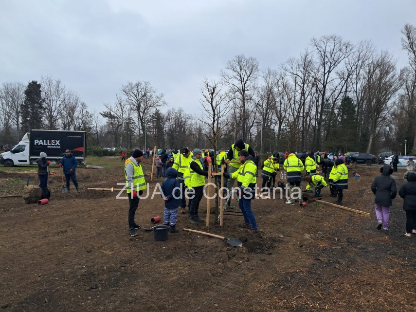 foto video noi copaci plantati la palatul copiilor constanta catalin filisan nu ne sperie vremea avem foto video noi copaci plantati la palatul copiilor constanta catalin filisan nu ne sperie vremea avem