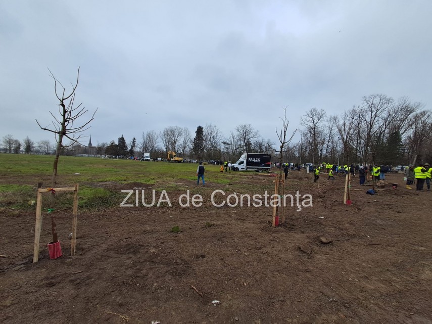 foto video noi copaci plantati la palatul copiilor constanta catalin filisan nu ne sperie vremea avem foto video noi copaci plantati la palatul copiilor constanta catalin filisan nu ne sperie vremea avem