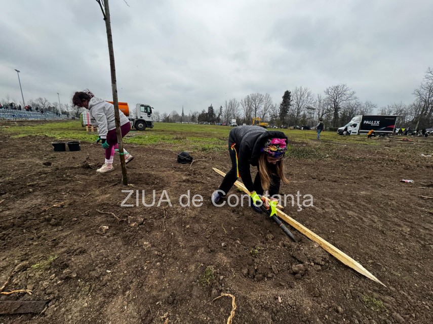 foto video noi copaci plantati la palatul copiilor constanta catalin filisan nu ne sperie vremea avem foto video noi copaci plantati la palatul copiilor constanta catalin filisan nu ne sperie vremea avem