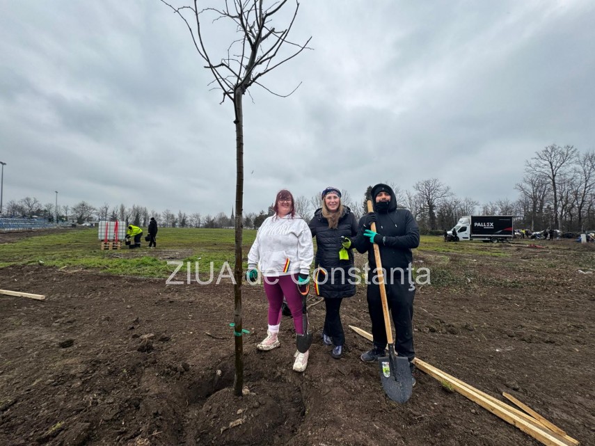 foto video noi copaci plantati la palatul copiilor constanta catalin filisan nu ne sperie vremea avem foto video noi copaci plantati la palatul copiilor constanta catalin filisan nu ne sperie vremea avem
