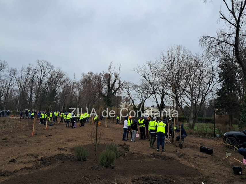 foto video noi copaci plantati la palatul copiilor constanta catalin filisan nu ne sperie vremea avem foto video noi copaci plantati la palatul copiilor constanta catalin filisan nu ne sperie vremea avem