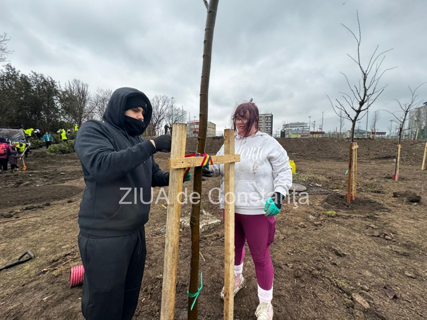 foto video noi copaci plantati la palatul copiilor constanta catalin filisan nu ne sperie vremea avem foto video noi copaci plantati la palatul copiilor constanta catalin filisan nu ne sperie vremea avem