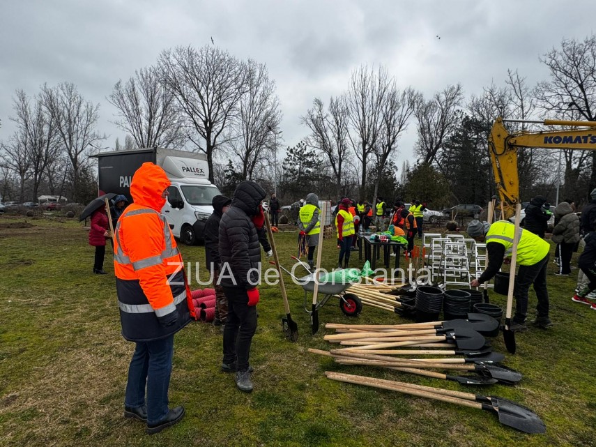 foto video noi copaci plantati la palatul copiilor constanta catalin filisan nu ne sperie vremea avem foto video noi copaci plantati la palatul copiilor constanta catalin filisan nu ne sperie vremea avem