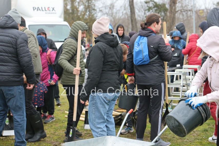 foto video noi copaci plantati la palatul copiilor constanta catalin filisan nu ne sperie vremea avem foto video noi copaci plantati la palatul copiilor constanta catalin filisan nu ne sperie vremea avem