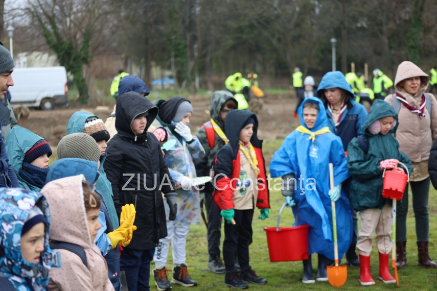 foto video noi copaci plantati la palatul copiilor constanta catalin filisan nu ne sperie vremea avem foto video noi copaci plantati la palatul copiilor constanta catalin filisan nu ne sperie vremea avem