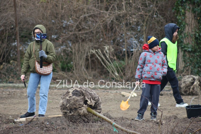 foto video noi copaci plantati la palatul copiilor constanta catalin filisan nu ne sperie vremea avem foto video noi copaci plantati la palatul copiilor constanta catalin filisan nu ne sperie vremea avem