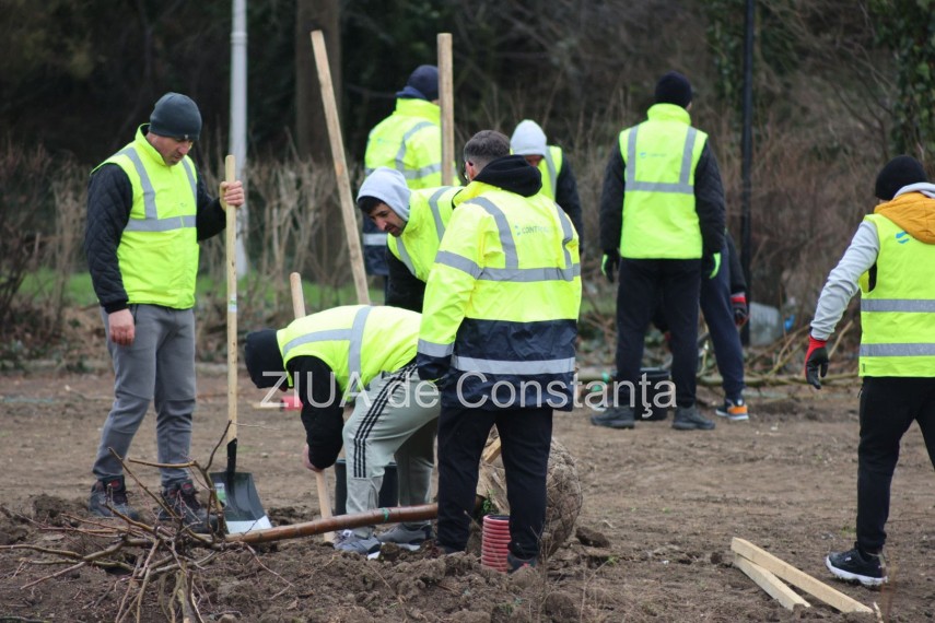 foto video noi copaci plantati la palatul copiilor constanta catalin filisan nu ne sperie vremea avem foto video noi copaci plantati la palatul copiilor constanta catalin filisan nu ne sperie vremea avem