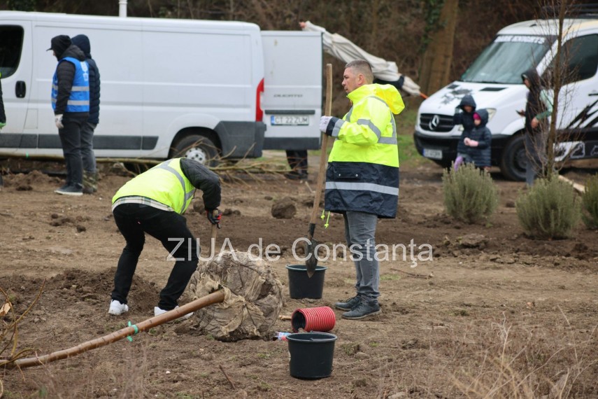 foto video noi copaci plantati la palatul copiilor constanta catalin filisan nu ne sperie vremea avem foto video noi copaci plantati la palatul copiilor constanta catalin filisan nu ne sperie vremea avem
