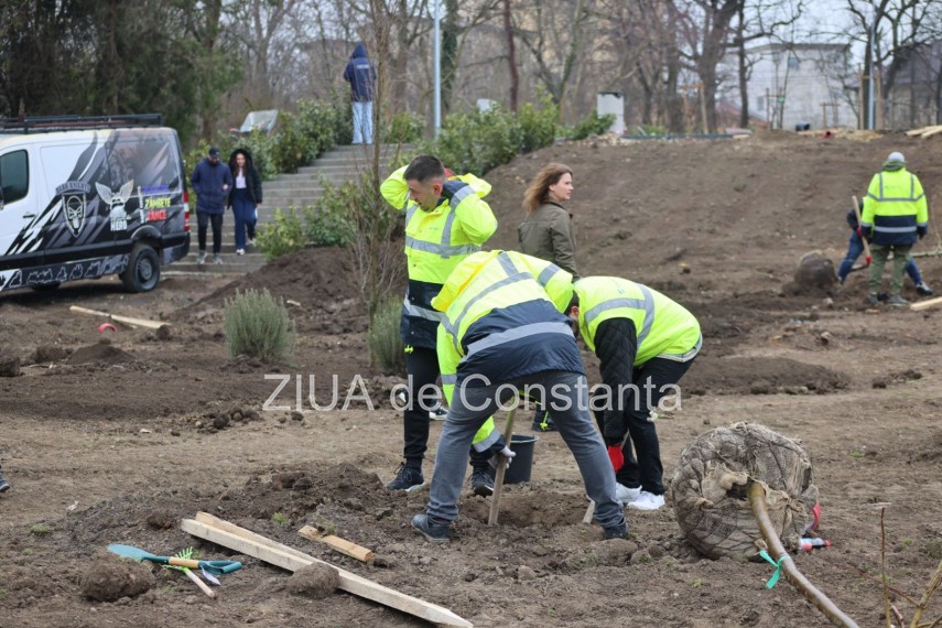 foto video noi copaci plantati la palatul copiilor constanta catalin filisan nu ne sperie vremea avem foto video noi copaci plantati la palatul copiilor constanta catalin filisan nu ne sperie vremea avem