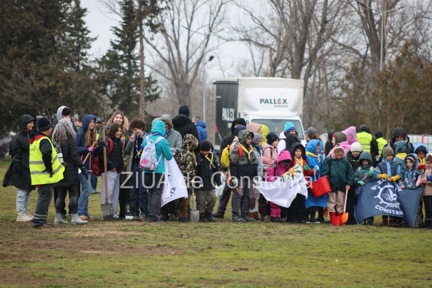 foto video noi copaci plantati la palatul copiilor constanta catalin filisan nu ne sperie vremea avem foto video noi copaci plantati la palatul copiilor constanta catalin filisan nu ne sperie vremea avem