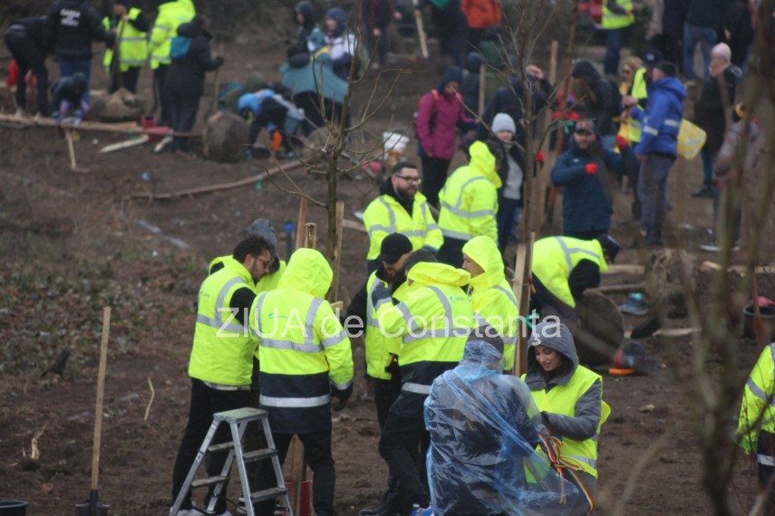 foto video noi copaci plantati la palatul copiilor constanta catalin filisan nu ne sperie vremea avem foto video noi copaci plantati la palatul copiilor constanta catalin filisan nu ne sperie vremea avem