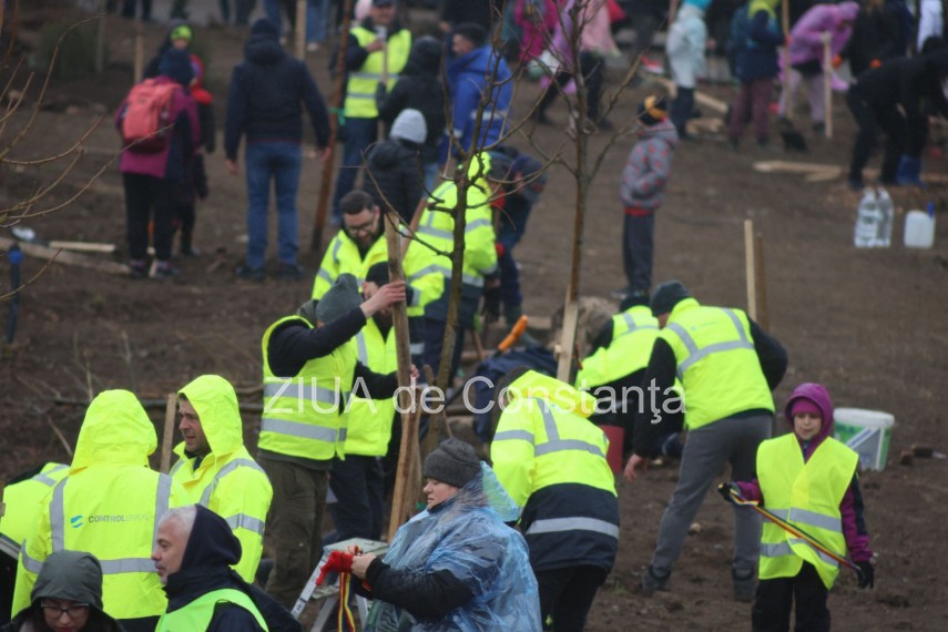foto video noi copaci plantati la palatul copiilor constanta catalin filisan nu ne sperie vremea avem foto video noi copaci plantati la palatul copiilor constanta catalin filisan nu ne sperie vremea avem