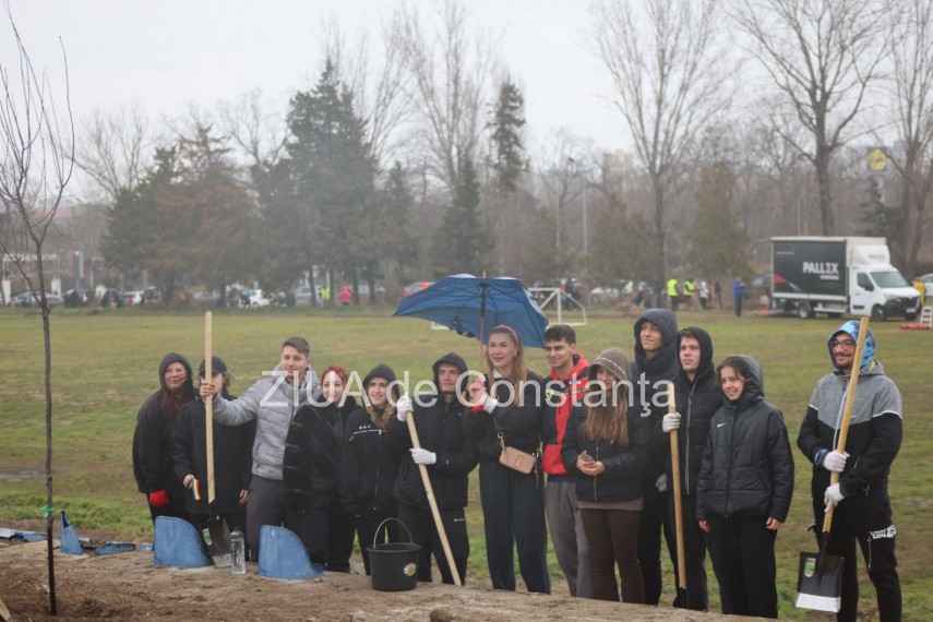 foto video noi copaci plantati la palatul copiilor constanta catalin filisan nu ne sperie vremea avem foto video noi copaci plantati la palatul copiilor constanta catalin filisan nu ne sperie vremea avem
