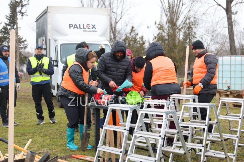 foto video noi copaci plantati la palatul copiilor constanta catalin filisan nu ne sperie vremea avem foto video noi copaci plantati la palatul copiilor constanta catalin filisan nu ne sperie vremea avem
