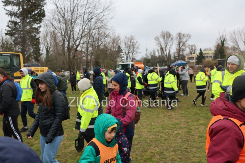 foto video noi copaci plantati la palatul copiilor constanta catalin filisan nu ne sperie vremea avem foto video noi copaci plantati la palatul copiilor constanta catalin filisan nu ne sperie vremea avem