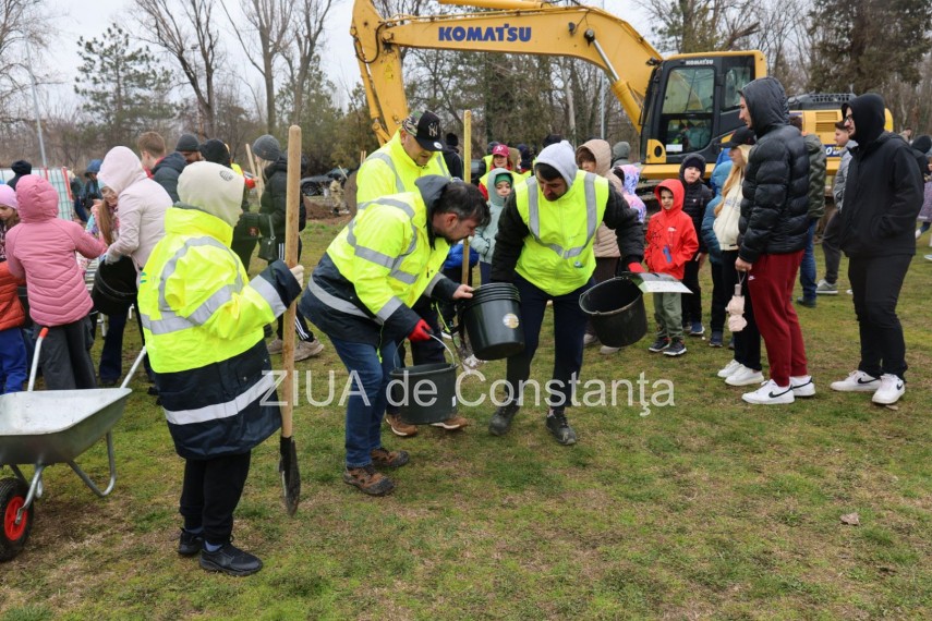 foto video noi copaci plantati la palatul copiilor constanta catalin filisan nu ne sperie vremea avem foto video noi copaci plantati la palatul copiilor constanta catalin filisan nu ne sperie vremea avem