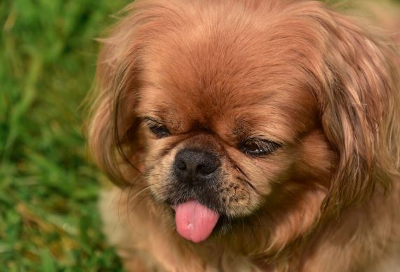 sursa foto: Freepick.com