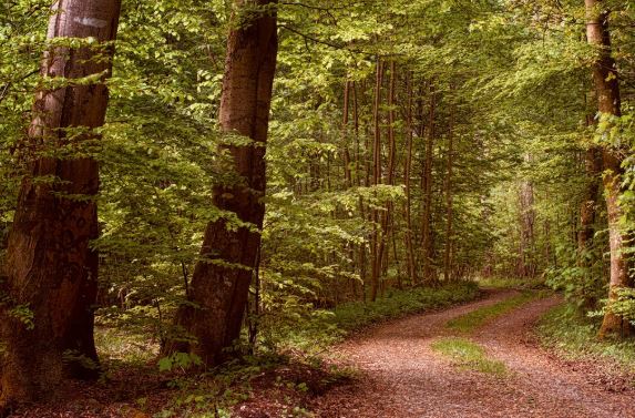 sursa foto: Freepick.com