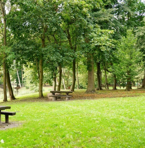 Foto cu rol ilustrativ, Sursa foto: Freepick