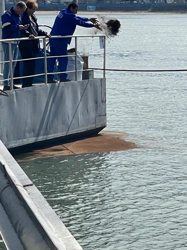 foto poluare accidentala pe dunare dupa ce o nava s ar fi scufundat apa oprita temporar la turnu magurele foto poluare accidentala pe dunare dupa ce o nava s ar fi scufundat apa oprita temporar la turnu magurele