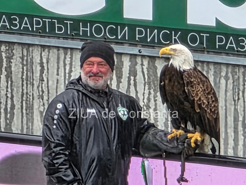 foto video un vultur maiestuos prezenta inedita la meciul ludogoret razgrad farul constanta 932971 foto video un vultur maiestuos prezenta inedita la meciul ludogoret razgrad farul constanta 932971