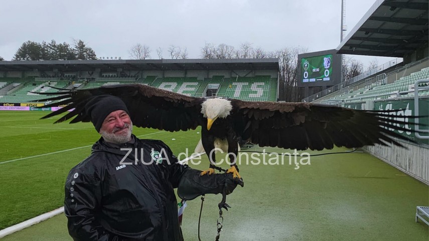 foto video un vultur maiestuos prezenta inedita la meciul ludogoret razgrad farul constanta 932971 foto video un vultur maiestuos prezenta inedita la meciul ludogoret razgrad farul constanta 932971