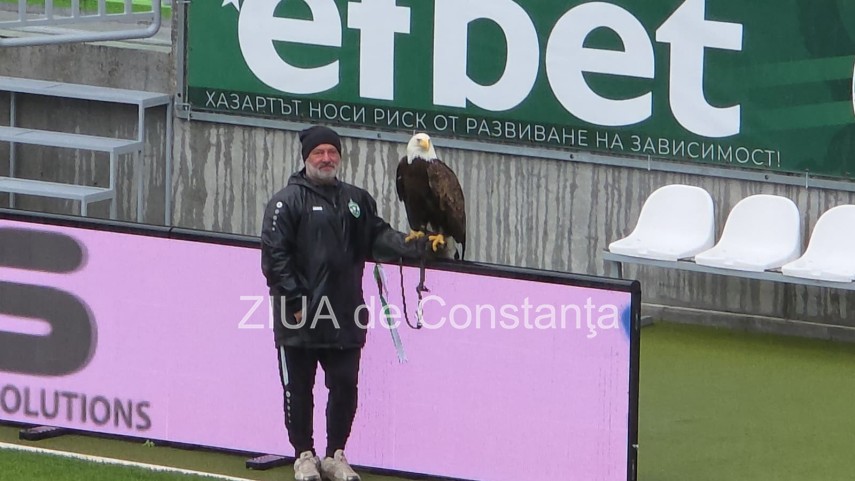 foto video un vultur maiestuos prezenta inedita la meciul ludogoret razgrad farul constanta 932971 foto video un vultur maiestuos prezenta inedita la meciul ludogoret razgrad farul constanta 932971