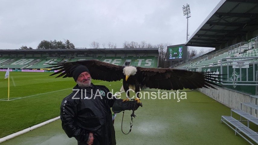 foto video un vultur maiestuos prezenta inedita la meciul ludogoret razgrad farul constanta 932971 foto video un vultur maiestuos prezenta inedita la meciul ludogoret razgrad farul constanta 932971